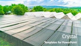  Presentation with nursery plant - Amazing PPT theme having plant nursery with blue sky backdrop and a gray colored foreground