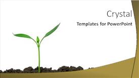  Presentation with plant - Cool new slides with plant-on-white-background backdrop and a white colored foreground