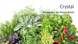  Presentation with herbs - Colorful slide deck enhanced with plant organic - fresh kitchen herbs isolated backdrop and a white colored foreground