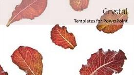  Presentation with vegan food - Slide set featuring plant-pattern-from-colorful-home background and a lemonade colored foreground