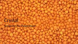  Presentation with red stars gala - Audience pleasing theme consisting of plant pulse - red lentils background backdrop and a gold colored foreground