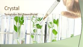  Presentation with test tubes - Slides enhanced with plant research - syringe injects liquid background and a cream colored foreground