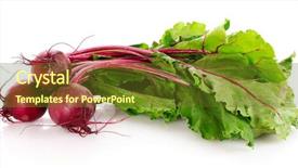  Presentation with beetroot - PPT layouts consisting of plant roots - beetroot isolated on white background and a tawny brown colored foreground