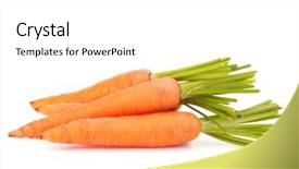  Presentation with plant roots - PPT theme having plant roots - carrot vegetable with leaves isolated background and a  colored foreground