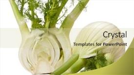  Presentation with bulb - Presentation theme enhanced with plant roots - fresh fennel bulb isolated background and a blonde colored foreground