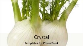  Presentation with bulb - PPT theme with plant roots - fresh fennel bulb isolated background and a soft green colored foreground