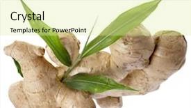  Presentation with plant roots - Beautiful slide deck featuring plant roots - fresh ginger isolated on white backdrop and a blonde colored foreground