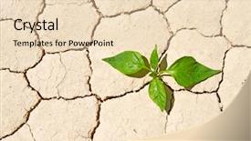  Presentation with free work life balance - Slides enhanced with plant roots - fresh green vegetable coming background and a lemonade colored foreground