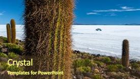  Presentation with plant salinity - Beautiful presentation theme featuring plant salinity - cactuses of the island backdrop and a tawny brown colored foreground