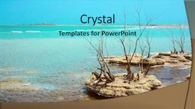  Presentation with dead plant - PPT layouts consisting of plant salinity - israel spring forever living dead background and a arctic colored foreground