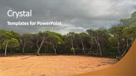  Presentation with gloomy - Audience pleasing slide deck consisting of plant salinity - park trees under gloomy sky backdrop and a gray colored foreground