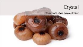  Presentation with scroll paper isolated on white - Theme having plant salinity - pickled garlic isolated on white background and a light gray colored foreground