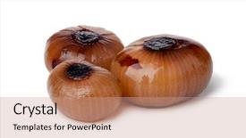  Presentation with plant salinity - PPT theme with plant salinity - pickled garlic isolated on white background and a coral colored foreground