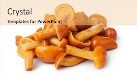  Presentation with monarch butterfly isolated on white - Beautiful PPT layouts featuring plant salinity - pickled mushrooms isolated on white backdrop and a yellow colored foreground