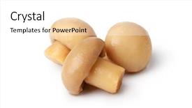  Presentation with mushrooms - Slide set enhanced with plant salinity - pickled mushrooms isolated on white background and a white colored foreground