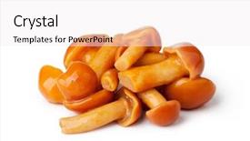  Presentation with mushrooms - Amazing slide deck having medina of chefchaouen morocco backdrop and a light gray colored foreground