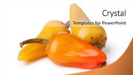  Presentation with octopus on isolated white - Presentation consisting of plant salinity - pickled pepper isolated on white background and a white colored foreground