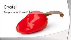  Presentation with plant salinity - Beautiful slide deck featuring plant salinity - pickled pepper isolated on white backdrop and a white colored foreground