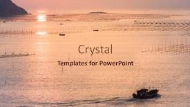  Presentation with seaweed - PPT theme consisting of plant-seaweed-at-coastline background and a coral colored foreground