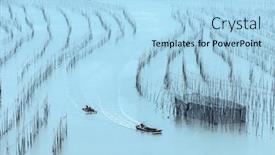  Presentation with seaweed - Audience pleasing slide deck consisting of plant-seaweed-at-coastline backdrop and a light blue colored foreground