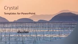  Presentation with seaweed - PPT layouts consisting of plant-seaweed-at-coastline background and a lemonade colored foreground