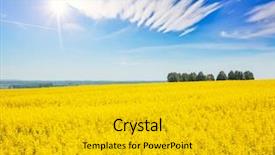  Presentation with global warming - Audience pleasing PPT layouts consisting of plant seeds greatness - great canola field in sunlight backdrop and a gold colored foreground