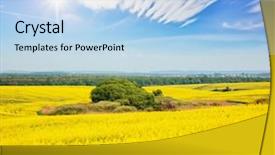  Presentation with global warming - PPT layouts enhanced with plant seeds greatness - great canola field in sunlight background and a light blue colored foreground