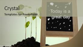  Presentation with tree - Cool new slides with plant seeds greatness - mini black and young tree backdrop and a mint green colored foreground