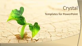  Presentation with sprouting plant - Slide deck having plant sprouting in the desert background and a cream colored foreground