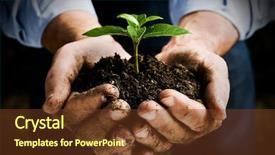  Presentation with young plant - Amazing presentation theme having plant symbol of new life backdrop and a tawny brown colored foreground