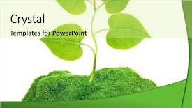  Presentation with soil - Presentation design consisting of plant tree in ground soil background and a soft green colored foreground