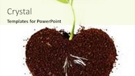  Presentation with tree root - Presentation theme with plant-tree-in-ground background and a blonde colored foreground