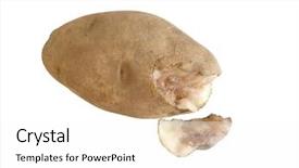  Presentation with potato - Slides enhanced with plant virus - closeup of a very rotten background and a white colored foreground