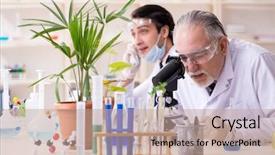  Presentation with rat in lab - Beautiful slide set featuring plant virus - two chemists working backdrop and a soft green colored foreground