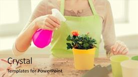  Presentation with home gardening - Colorful presentation design enhanced with plant water - people gardening flower planting backdrop and a coral colored foreground