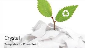  Presentation with recycle - Cool new presentation theme with recycle symbol growing from paper backdrop and a white colored foreground