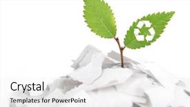  Presentation with earth recycle - PPT layouts enhanced with earth cycles - plant with recycle symbol growing background and a  colored foreground