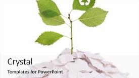  Presentation with recycle - Presentation theme consisting of recycle symbol growing from paper background and a sky blue colored foreground