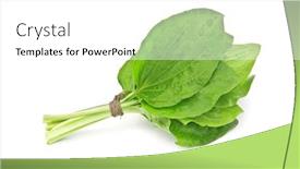  Presentation with plantain - Presentation design enhanced with plantain bunch isolated on white background and a white colored foreground