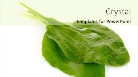  Presentation with plantain - Slides featuring plantain-is-isolated background and a blonde colored foreground