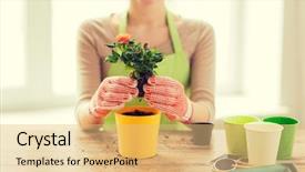  Presentation with home gardening - Audience pleasing theme consisting of plantas - people gardening flower planting backdrop and a yellow colored foreground