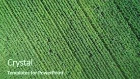  Presentation with country photo - Beautiful theme featuring plantation - green country field with row backdrop and a forest green colored foreground