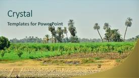  Presentation with nile egypt - Slide deck consisting of plantation on nile riverside egypt background and a lemonade colored foreground