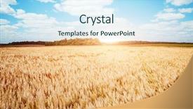  Presentation with beauty products - Audience pleasing slide deck consisting of wonderful day in summertime location backdrop and a sky blue colored foreground