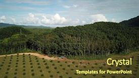  Presentation with oil production - Beautiful theme featuring plantations for palm oil production backdrop and a tawny brown colored foreground