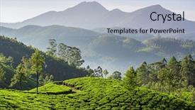  Presentation with kerala - Theme consisting of plantations in munnar kerala india background and a light blue colored foreground