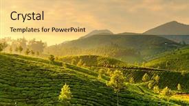  Presentation with rural india - Theme having plantations in state kerala india background and a yellow colored foreground