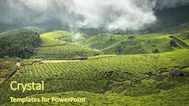  Presentation with kerala - Slide deck with plantations in state kerala india background and a tawny brown colored foreground
