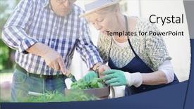  Presentation with active seniors senior couple - Amazing presentation theme having planting aromatic herbs in pot backdrop and a white colored foreground