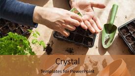  Presentation with home gardening - Audience pleasing PPT theme consisting of planting at home man sowing backdrop and a coral colored foreground